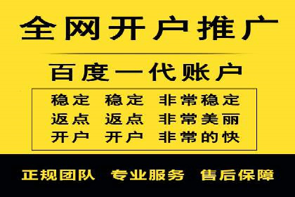SEM搜索引擎优化策略解析与应用案例